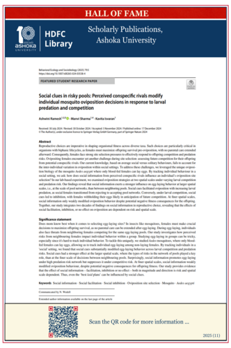 Social clues in risky pools