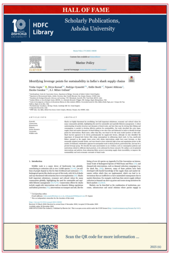 Identifying leverage points for sustainability in India’s shark supply chains